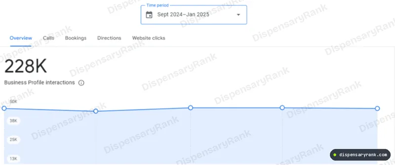 Google Business Profile performance screen showing 228K Business Profile interactions for September 2024 to January 2025.